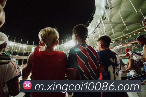 杏彩体育APP 封面图